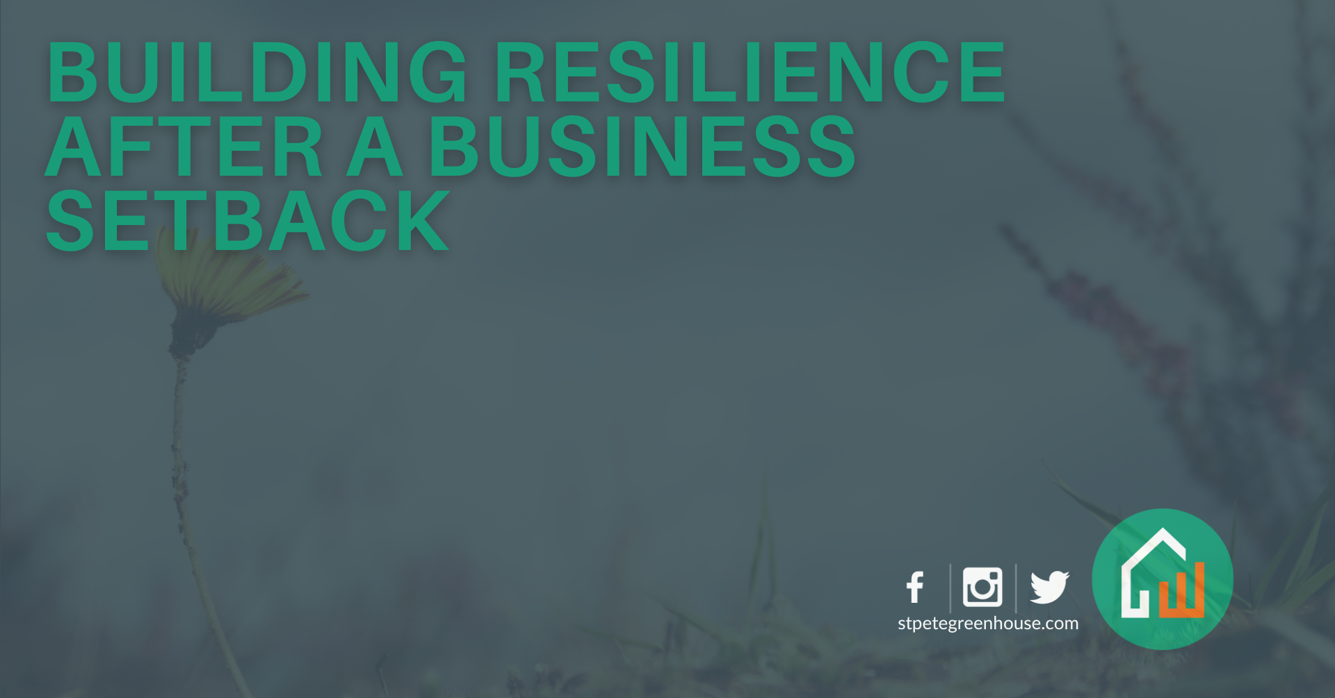 Building Resilience After a Business Setback-image