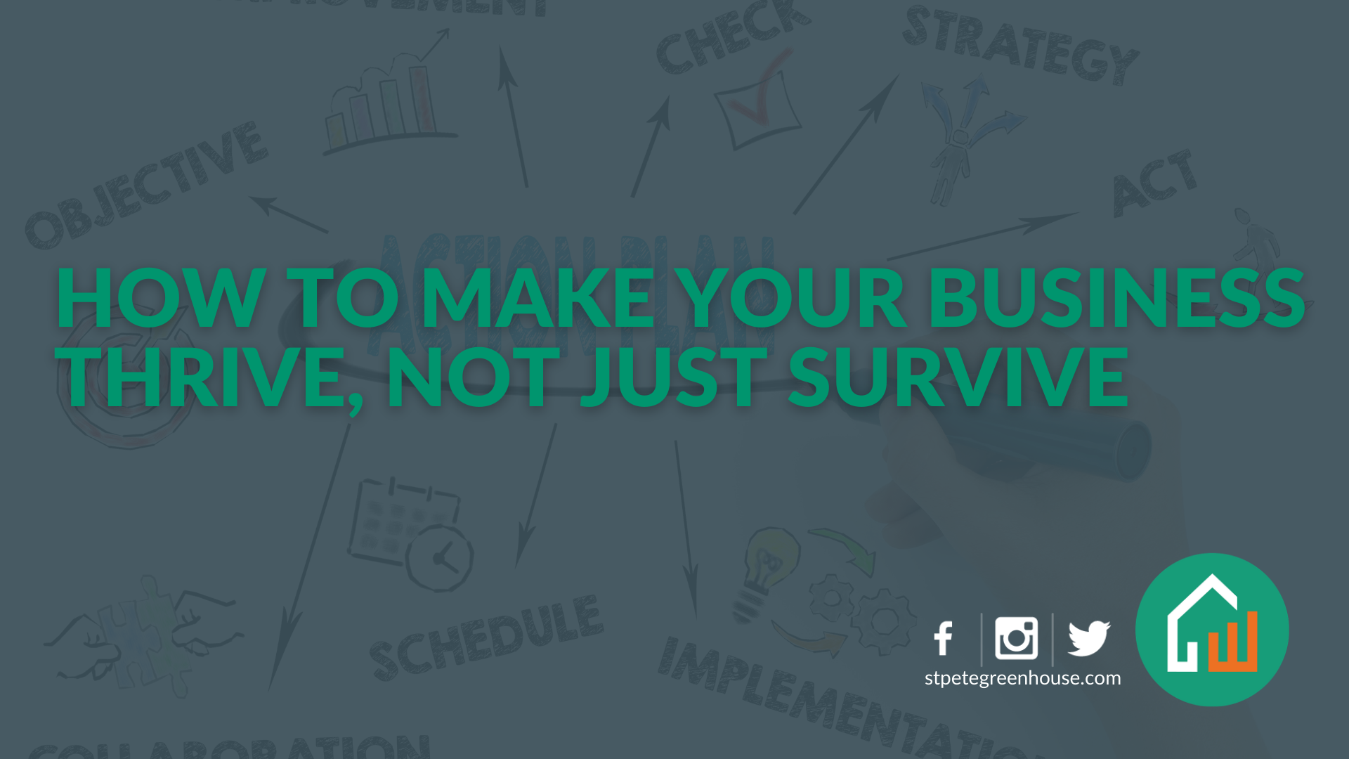 How to Make Your Business Thrive, Not Just Survive-image